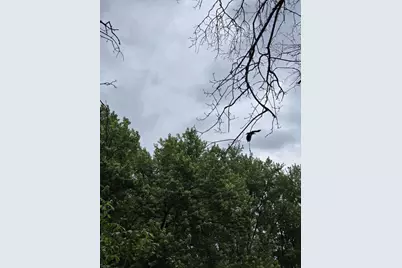 N13300 Pike River Road, Wausaukee, WI 54177 - Photo 24