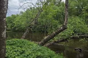 N13300 Pike River Rd, Wausaukee, WI 54177 - Photo 26