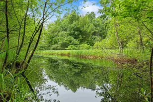 W3017 Hale School Rd, Peshtigo, WI 54157 - Photo 4