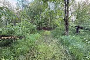 10360 Big Eddie Ln, Suring, WI 54174 - Photo 34