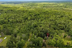 14969 Old 32 Rd, Mountain, WI 54149 - Photo 44