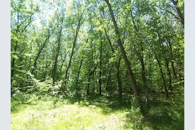 Ann Court, Shawano, WI 54166 - Photo 4