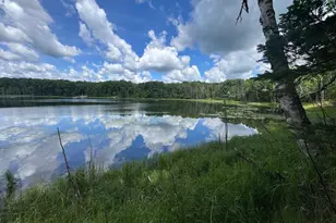 Blue Heron Ln, Athelstane, WI 54104 - Photo 1