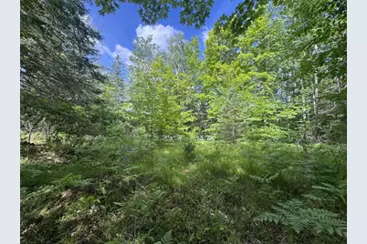 Blue Heron Lane, Athelstane, WI 54104 - Photo 22