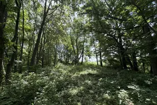 35537 Log House Ln, Prairie Du Chien, WI 53821 - Photo 26