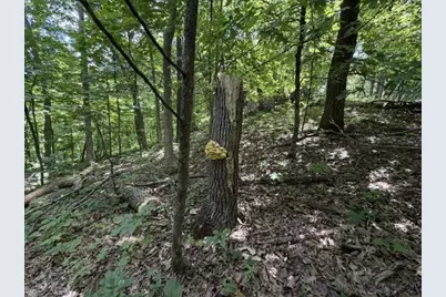 35537 Log House Lane, Prairie Du Chien, WI 53821 - Photo 34