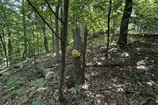 35537 Log House Ln, Prairie Du Chien, WI 53821 - Photo 34