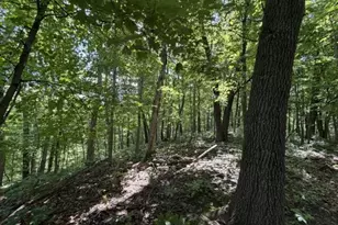 35537 Log House Ln, Prairie Du Chien, WI 53821 - Photo 28