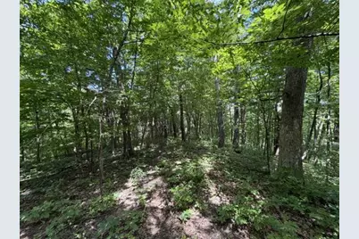 35537 Log House Lane, Prairie Du Chien, WI 53821 - Photo 30