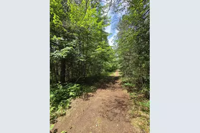 Tower Road, Athelstane, WI 54104 - Photo 14