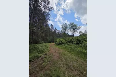 Tower Road, Athelstane, WI 54104 - Photo 4