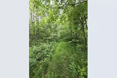 Tower Road, Athelstane, WI 54104 - Photo 16