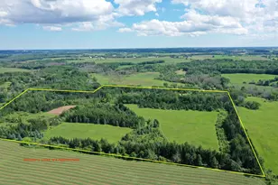 4437 Pine Grove Rd, Denmark, WI 54208 - Photo 6