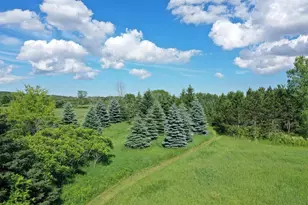 4437 Pine Grove Rd, Denmark, WI 54208 - Photo 54