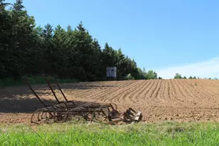 4437 Pine Grove Rd, Denmark, WI 54208 - Photo 52
