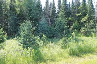4437 Pine Grove Rd, Denmark, WI 54208 - Photo 46