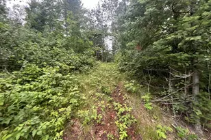 W8801 Moonshine Hill Rd, Crivitz, WI 54114 - Photo 38