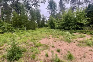 W8801 Moonshine Hill Rd, Crivitz, WI 54114 - Photo 6