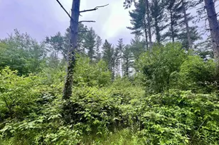 W8801 Moonshine Hill Rd, Crivitz, WI 54114 - Photo 8