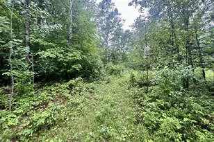 W8801 Moonshine Hill Rd, Crivitz, WI 54114 - Photo 18