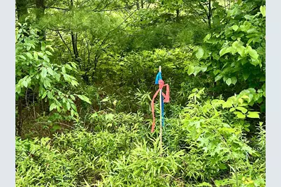 W8801 Moonshine Hill Road, Crivitz, WI 54114 - Photo 10