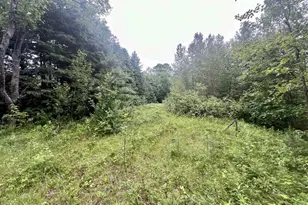 W8801 Moonshine Hill Rd, Crivitz, WI 54114 - Photo 16