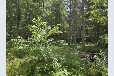 W12565 Island Lake Lane, Crivitz, WI 54114 - Photo 6