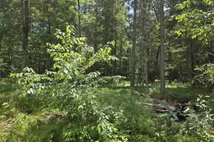 W12565 Island Lake Ln, Crivitz, WI 54114 - Photo 6