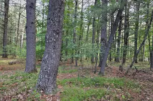 N3940 Forest Dr, Hancock, WI 54943 - Photo 30