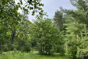 N17470 US Hwy 141, Pembine, WI 54156 - Photo 36