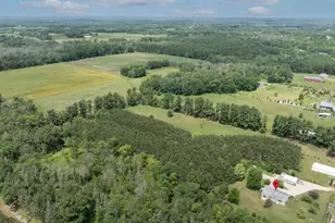 N4381 Ostrander Rd, Mukwa, WI 54961 - Photo 48