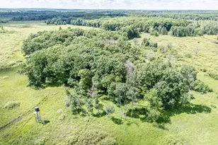 N4003 Marsh Rd, New London, WI 54961 - Photo 80