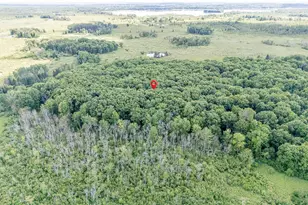 N4003 Marsh Rd, New London, WI 54961 - Photo 84