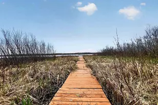 N11415 E Shore Rd, Pearson, WI 54462 - Photo 24