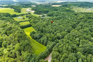 E2073 Shady Dr, Scandinavia, WI 54977 - Photo 52