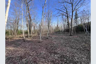 Nejedlo Road, Wausaukee, WI 54177 - Photo 2