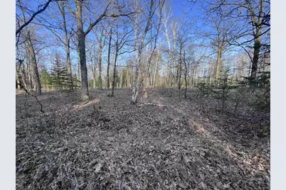 Nejedlo Road, Wausaukee, WI 54177 - Photo 4