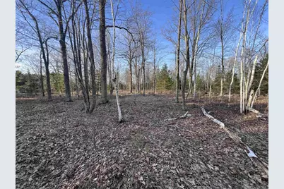 Nejedlo Road, Wausaukee, WI 54177 - Photo 4