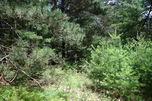N1771 County Rd EE, Redgranite, WI 54970 - Photo 22