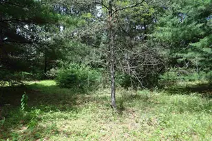 N1771 County Rd EE, Redgranite, WI 54970 - Photo 20