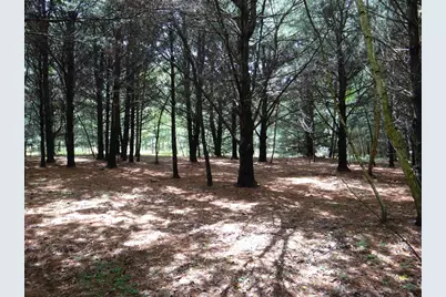 N1771 County Rd Ee, Redgranite, WI 54970 - Photo 24