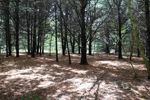 N1771 County Rd EE, Redgranite, WI 54970 - Photo 24