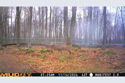 Springbrook Road, Edgerton, WI 54486 - Photo 16