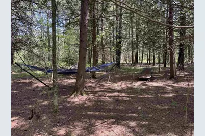 Peterson Road, Wausaukee, WI 54177 - Photo 8