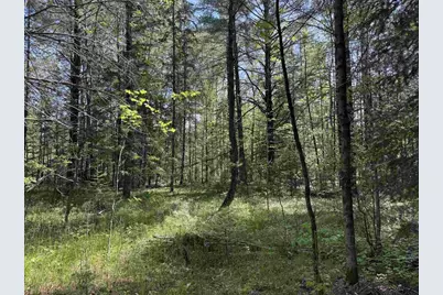 Peterson Road, Wausaukee, WI 54177 - Photo 10