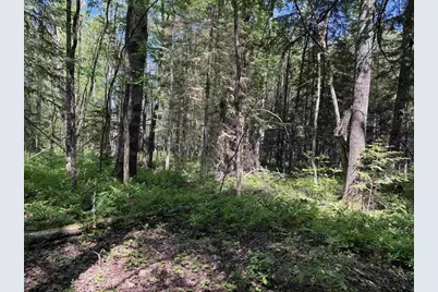 Peterson Road, Wausaukee, WI 54177 - Photo 14