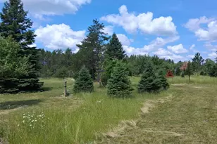 N13841 Mathis Rd, Athelstane, WI 54104 - Photo 34