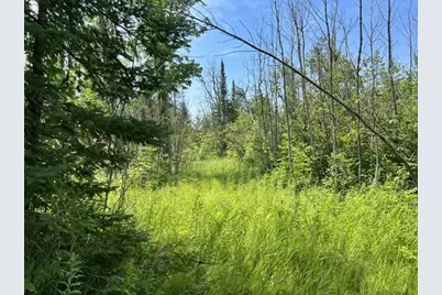 W7715 Moonshine Hill Road, Crivitz, WI 54114 - Photo 14