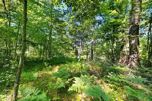 W10465 Leskovec Ln, Crivitz, WI 54114 - Photo 82