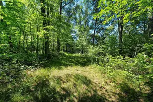 W10465 Leskovec Ln, Crivitz, WI 54114 - Photo 80